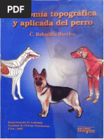 Anatomía Topográfica y Aplicada Del Perro Prof DR C BOBADILLA