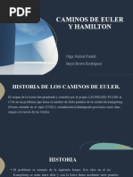 Caminos de Hamilton y Euler