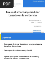 Seminario Traumatismo Raquimedular Basado en La Evidencia