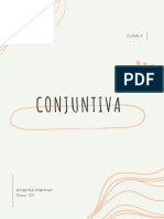 Conjuntiva 5