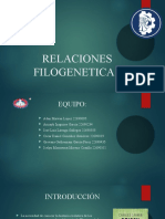 Relaciones Filogeneticas