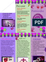 Triptico Femicidio