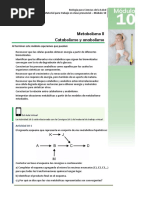 Módulo 10 - Material para La Clase Presencial - 1er Cuat 2022