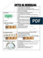 Resumo Sobre Transporte Memebranar Da Professora