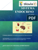 Sistema Endocrino 6to. Prim