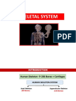 Skeletal System