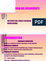 Psicologia Del Delincuente