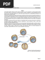 2022 - 2023 - 11º - FF1 - Ciclo Ceelular