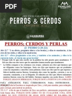 Perros Cerdos y Perlas