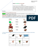 Historia 4A Guia N ° 5 Recursos Naturales