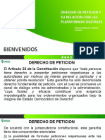 Derecho de Peticion