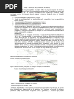 Ecositema de Mangle