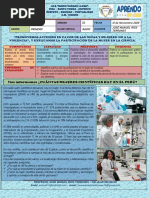 1º y 2º Semana 33