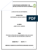 PROCESO ATENCION DE ENFERMERIA (PAE) APLICADO A Un Adulto Mayor Con Demencia