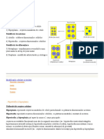 Curs.5 Anatomie. Modif - Cel Si Tisulare