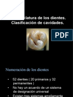 Nomenclatura de Los Dientes y de Las Cavidades