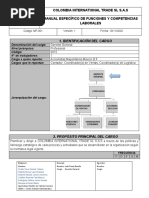 Formato Manual de Funciones PYME