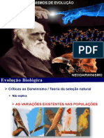 13 - Neodarwinismo