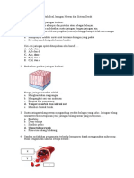 Contoh Soal Sistem Gerak Kelas 11