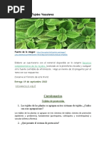 Actividad 3.1 Cuestionario Tejidos Vegetal