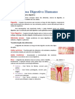 Sistema Digestivo Humano