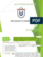 Moldeado Forense