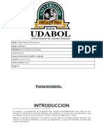 Torococentesis Practico Torax