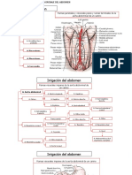 Irrigación y Drenaje Del Abdomen