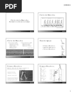 03 - Ciclo de Marcha