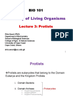 BIO 101-Lecture 3-Protists