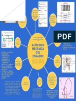 Actividad Mecánica Del Corazón