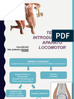 Introduccion Al Aparato Locomotor