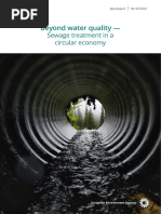 Beyond Water Quality - : Sewage Treatment in A Circular Economy