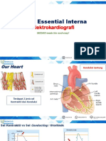 Essential Interna Ekg