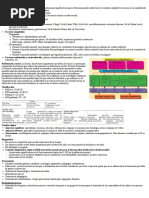 Fisioterapia Del Retraso Mental