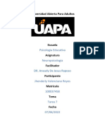 Neuropsicologia, Tarea 7.