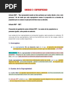 Resumen Unidad 3 y 4 - Derechos de Propiedad