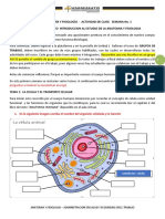 ACTIVIDAD DE CLASE - SEMANA 1 (Anatomia y Fisiologia)