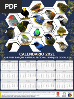 Calendario Aves de Galilea 2021