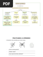 Cyt Animales Invertebrados