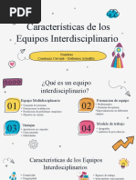 Caracteristicas de Los Equipos Interdisciplinarios