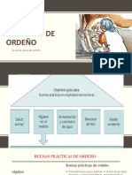 Practicas de Ordeño, Limpieza y Desinfeccion, Semana 06 SA II