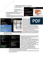 Clase 11 Teorico Hepatobiliopancreas