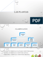 Las Plantas