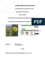 Protocole Des Travaux Pratiques de Biologie Moléculaire