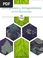 Sinergismos y Antagonismos Entre Nutrientes