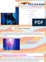 Daño Cerebral y Plasticidad Neural - 2