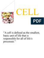 CELL