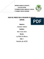 Ensayo de Saneamiento Ambiental-Proceso para La Declaracion de Emergencia Sanitaria