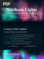 Northern Lights Aurora Borealis Tour MK Campaign by Slidesgo